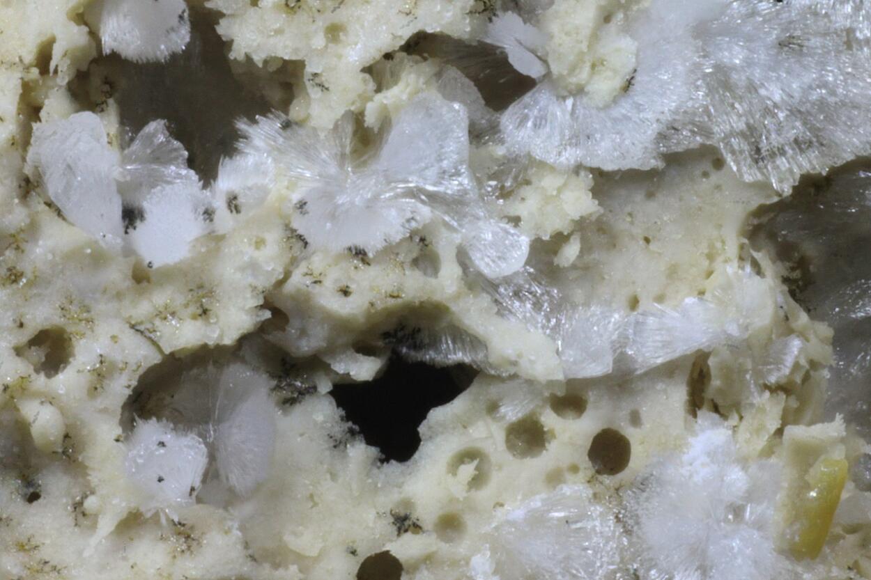 Carbonate-rich Hydroxylapatite