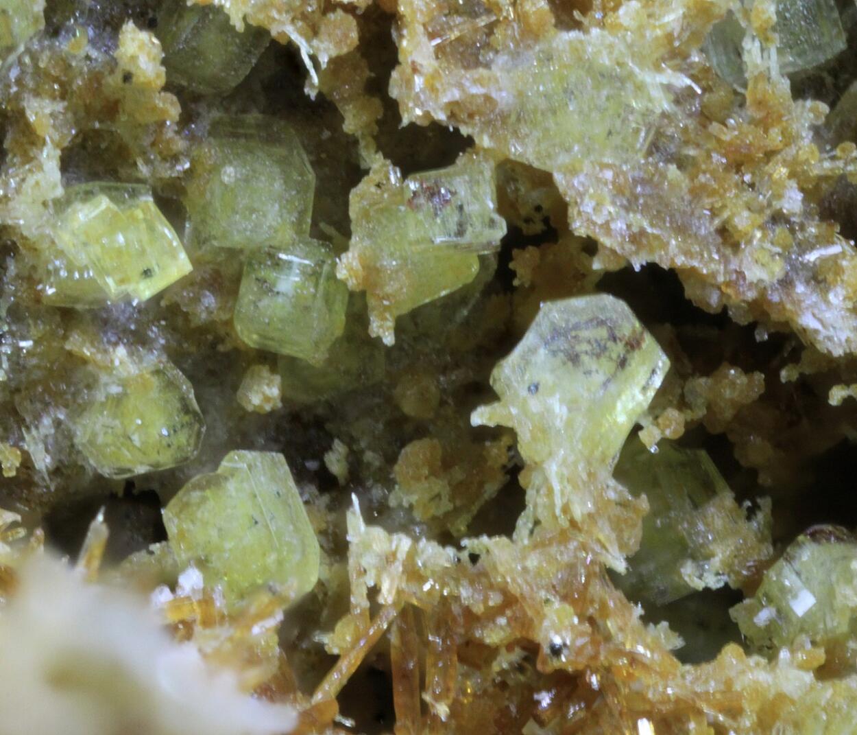 Roedderite