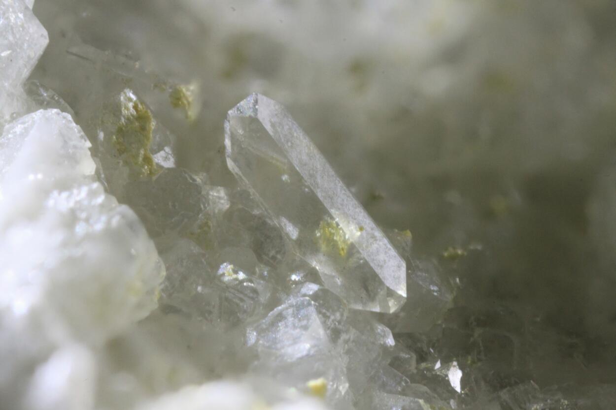 Whewellite