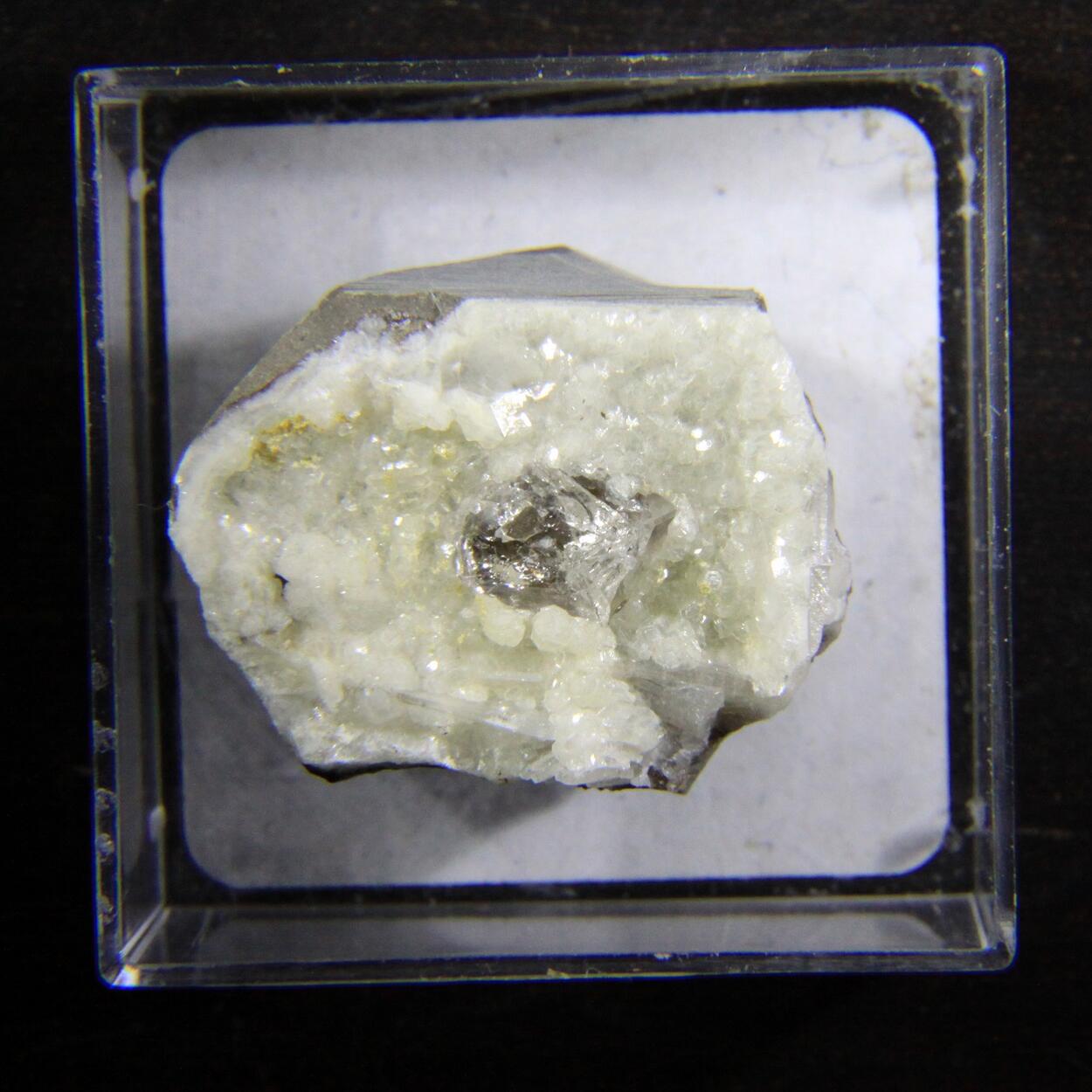 Whewellite