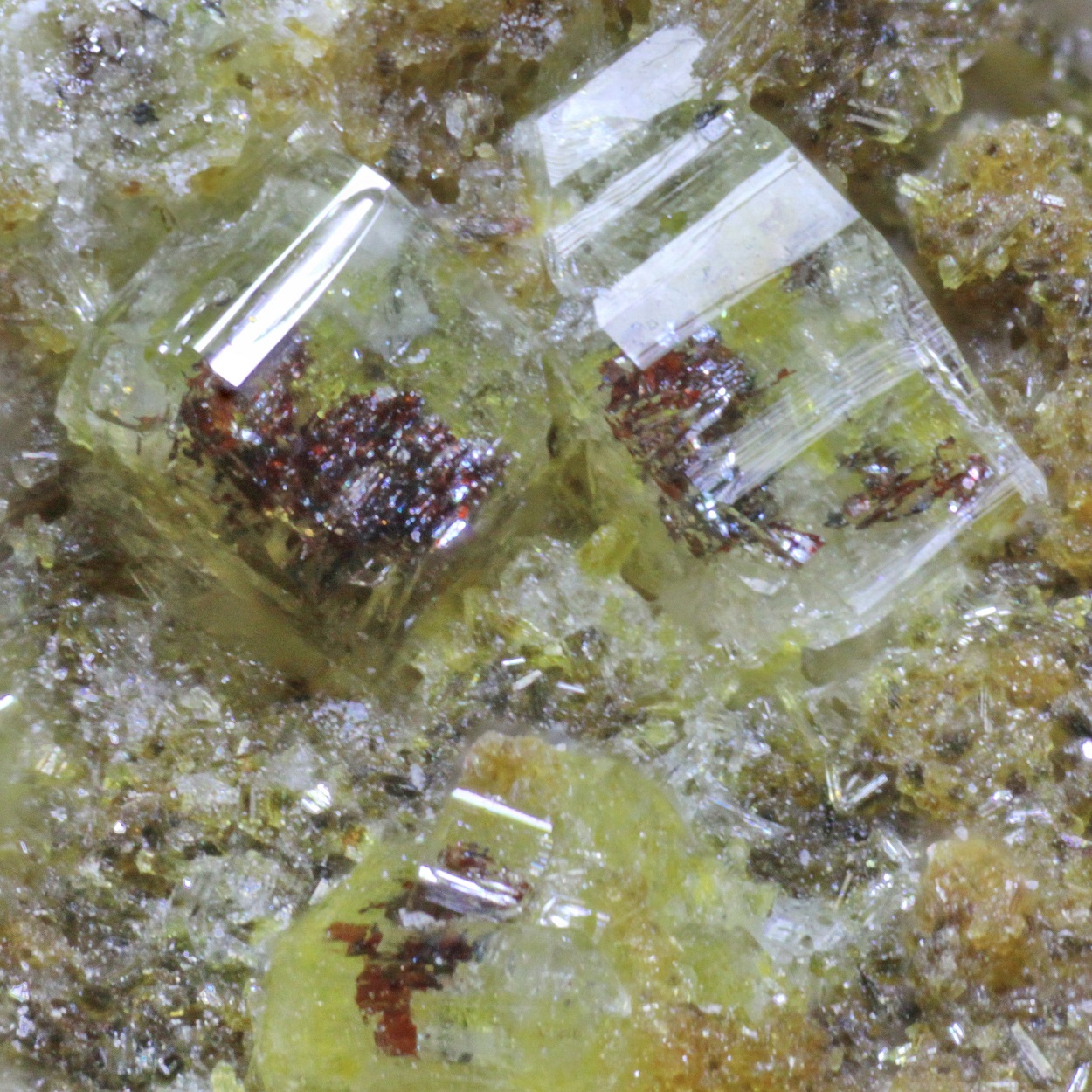 Roedderite