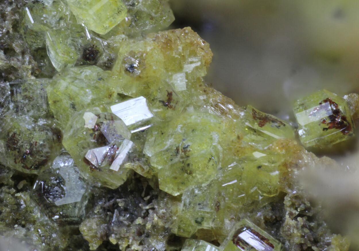 Roedderite