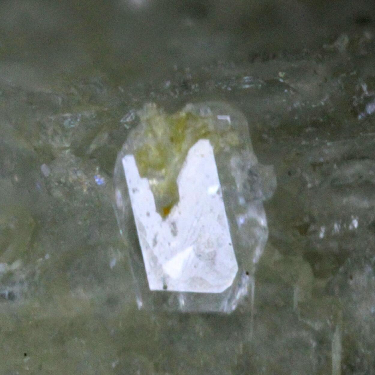 Whewellite