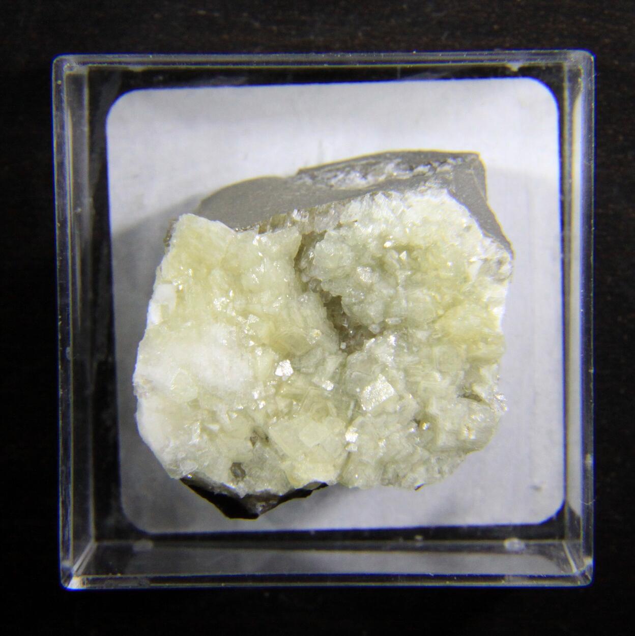 Whewellite