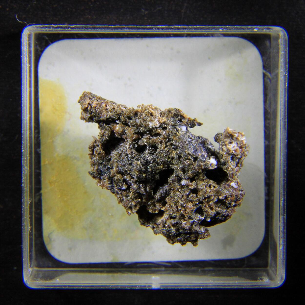 Carbonate-rich Hydroxylapatite