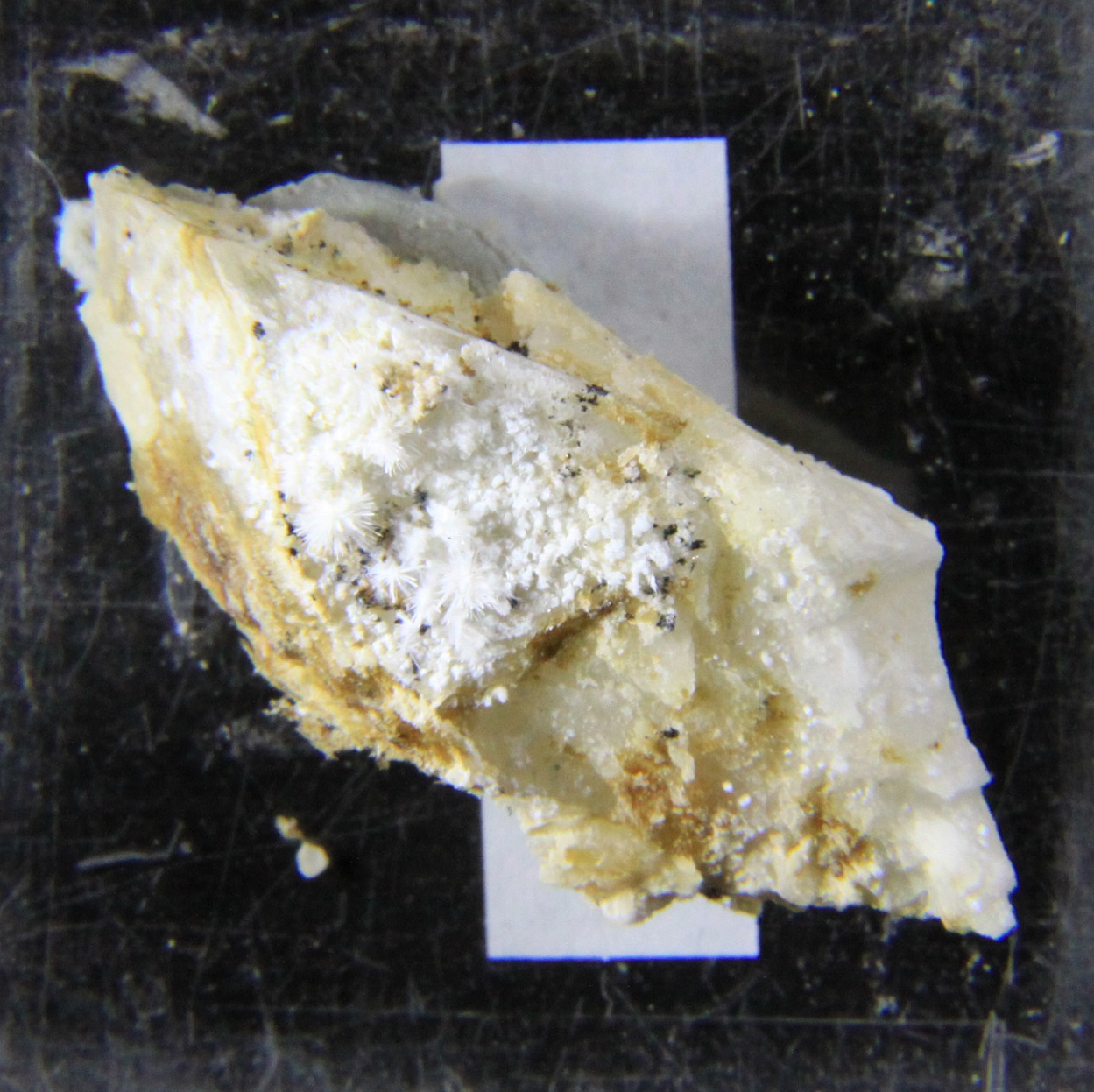Picropharmacolite