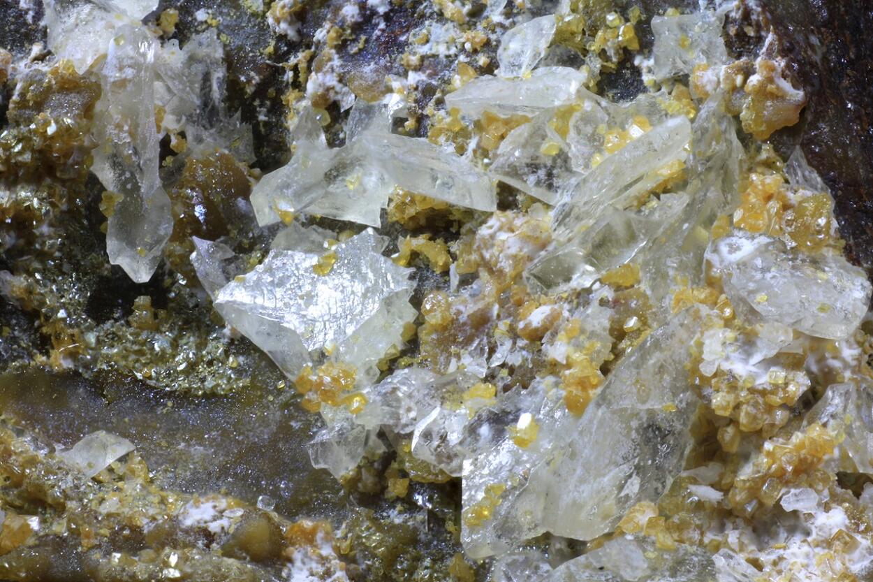 Whewellite