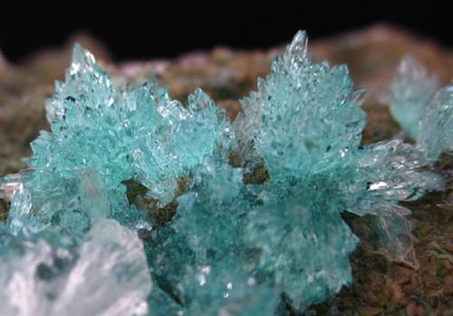 Apophyllite