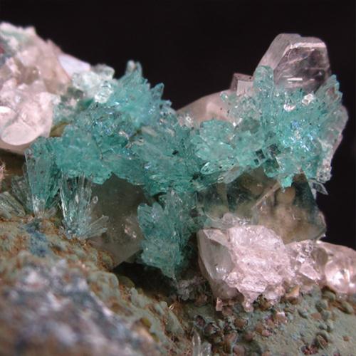 Apophyllite