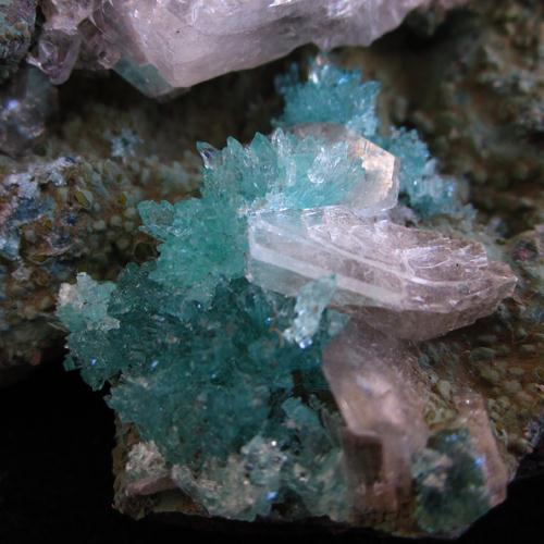 Apophyllite