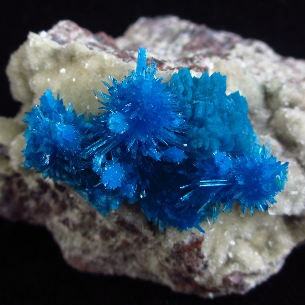 Cavansite & Pentagonite