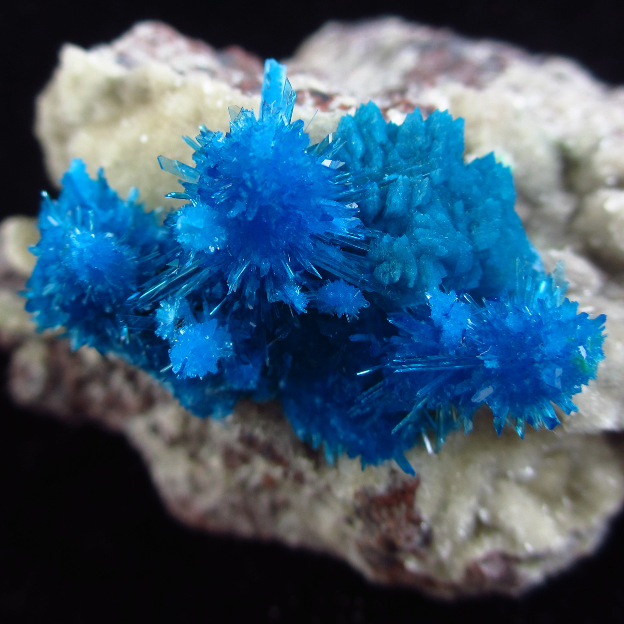 Cavansite & Pentagonite