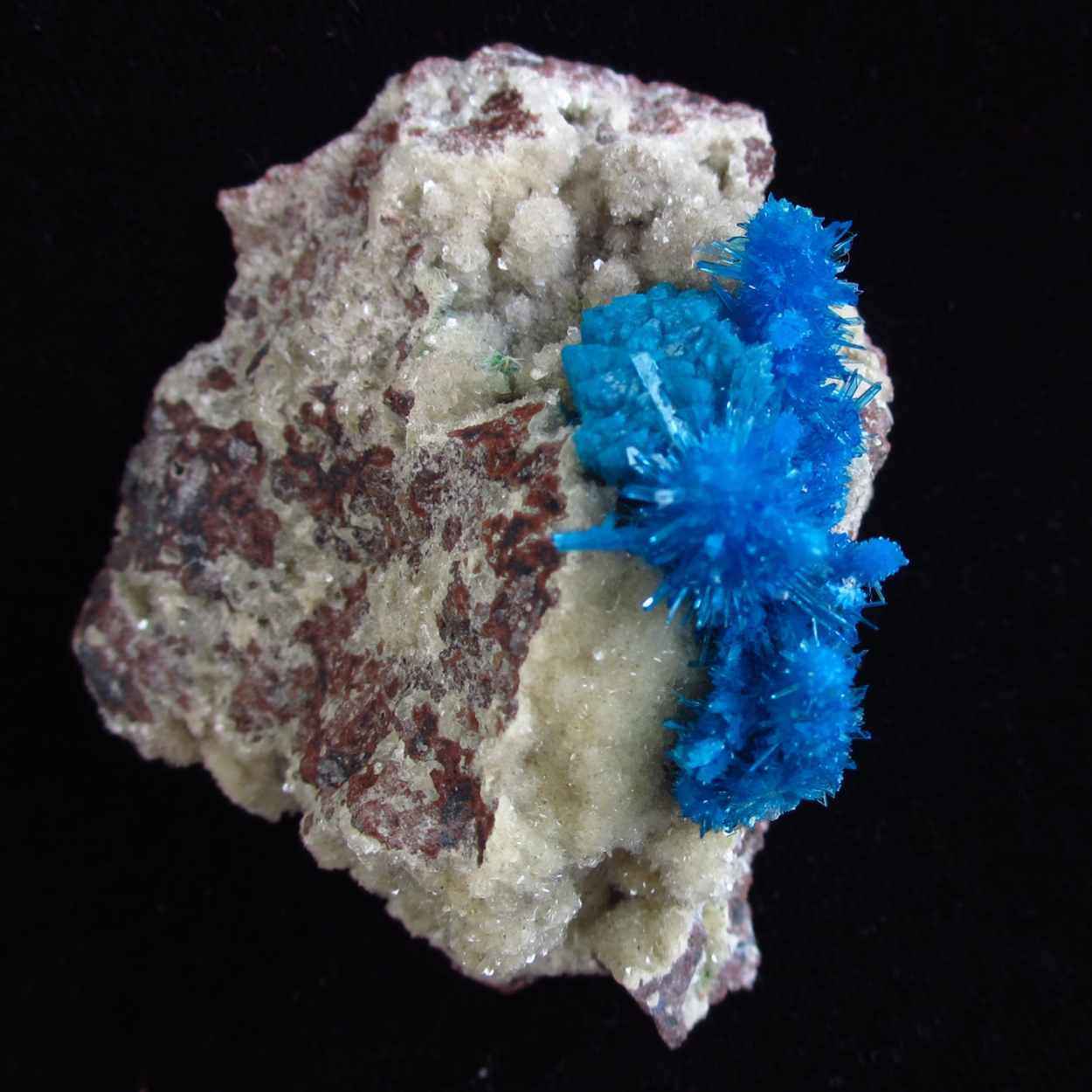 Cavansite & Pentagonite