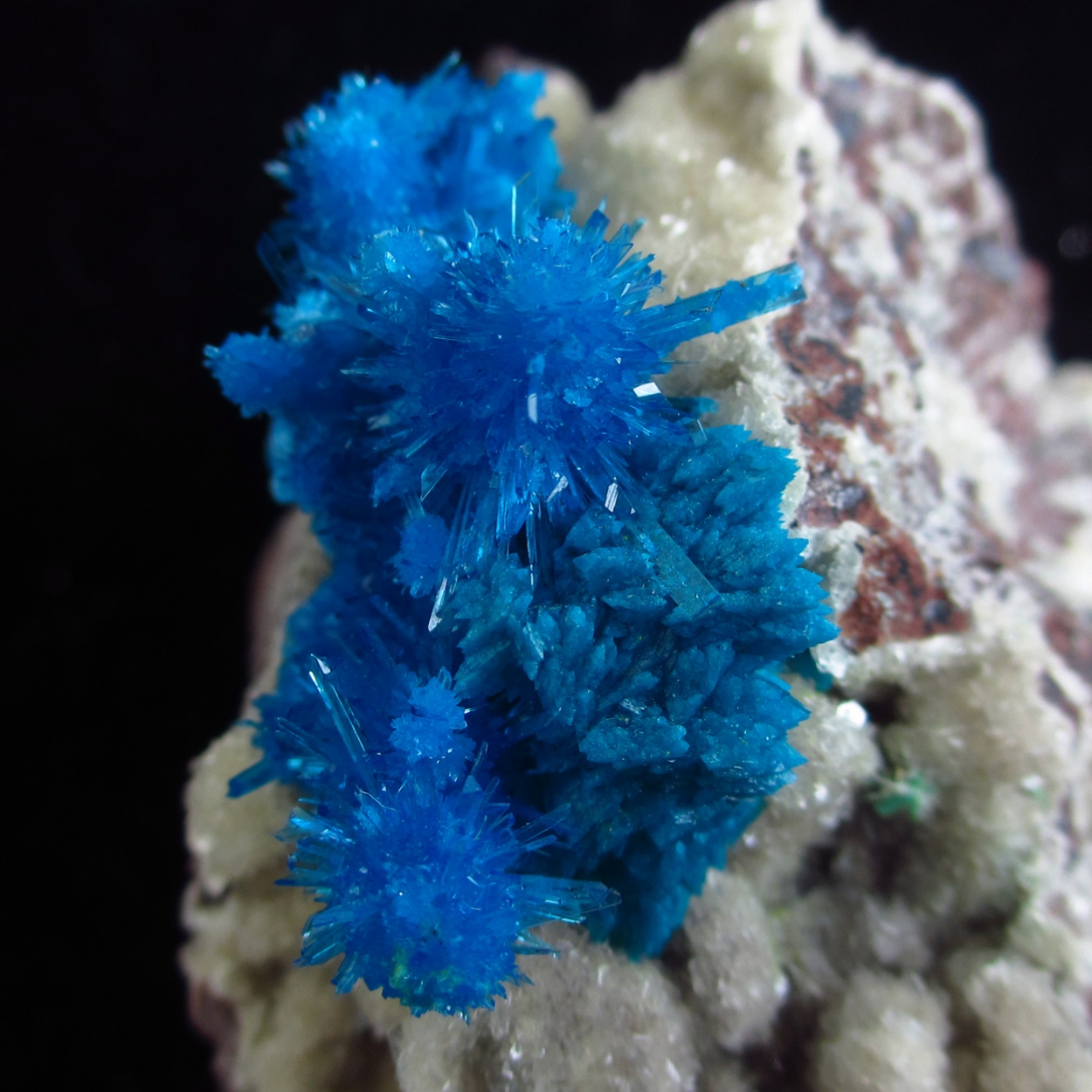 Cavansite & Pentagonite