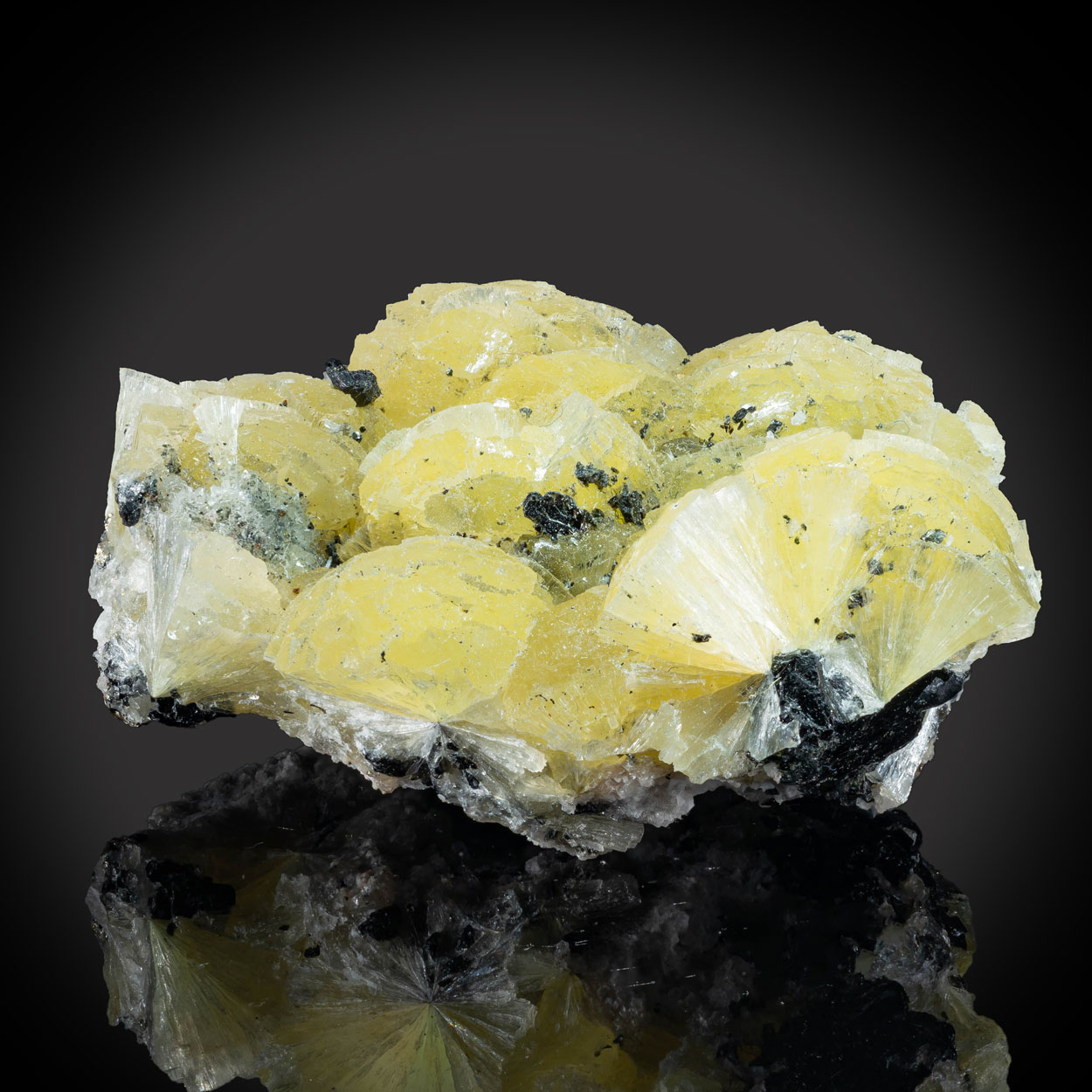 Stellerite