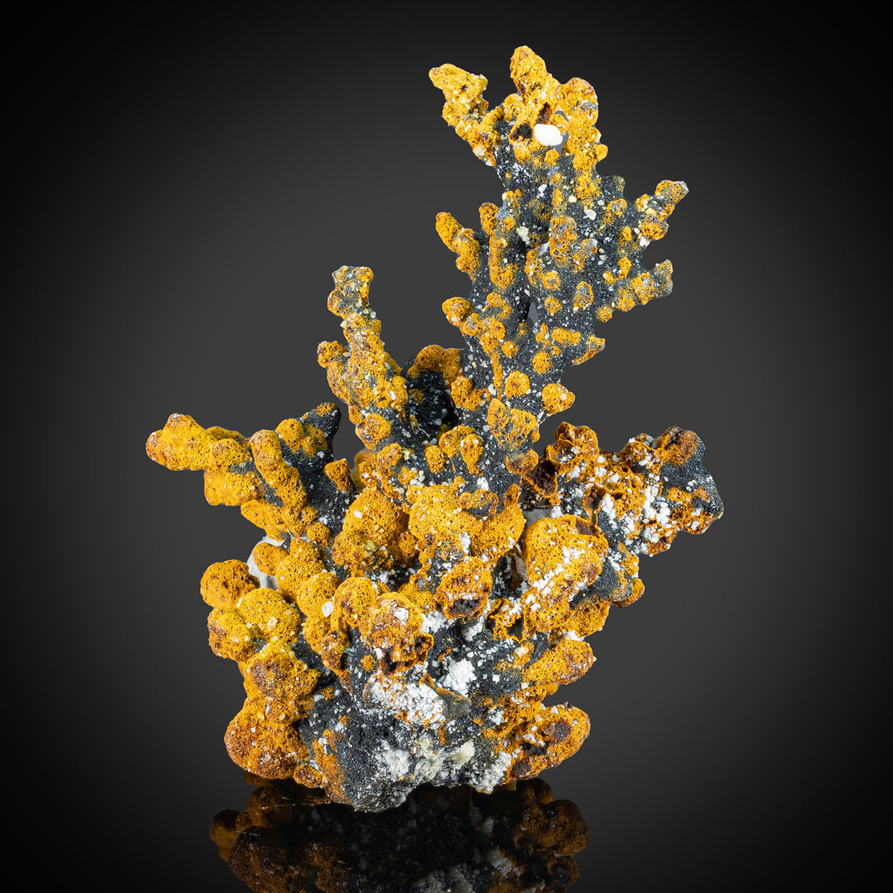 Romanèchite & Goethite