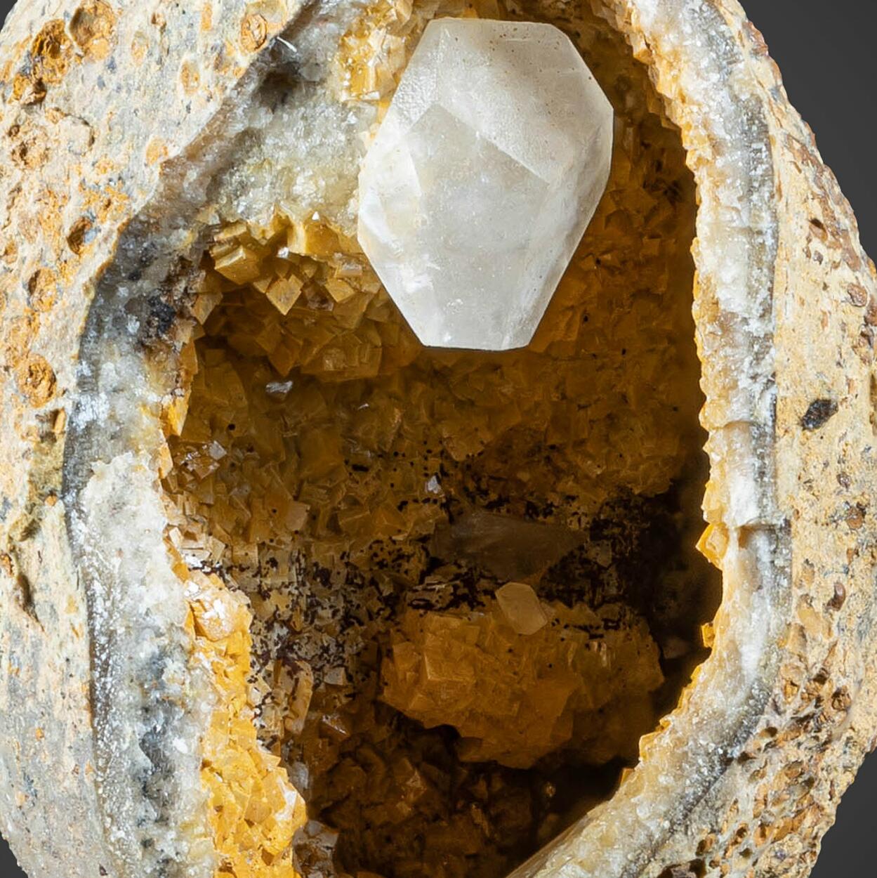 Calcite & Fossil