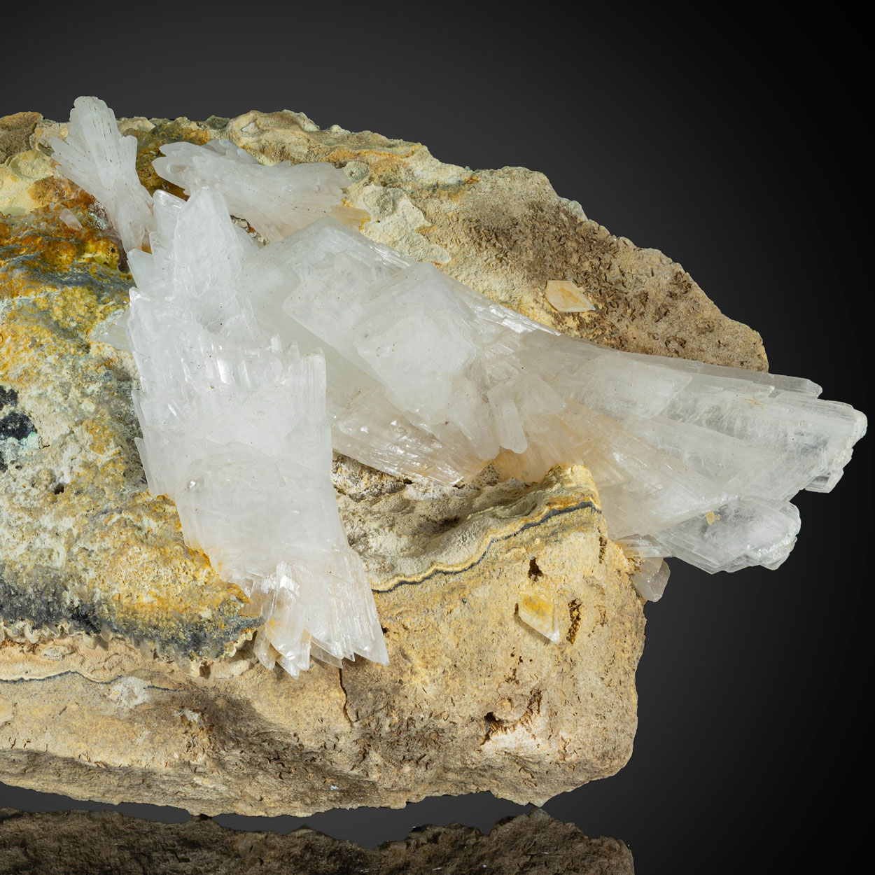 Gypsum