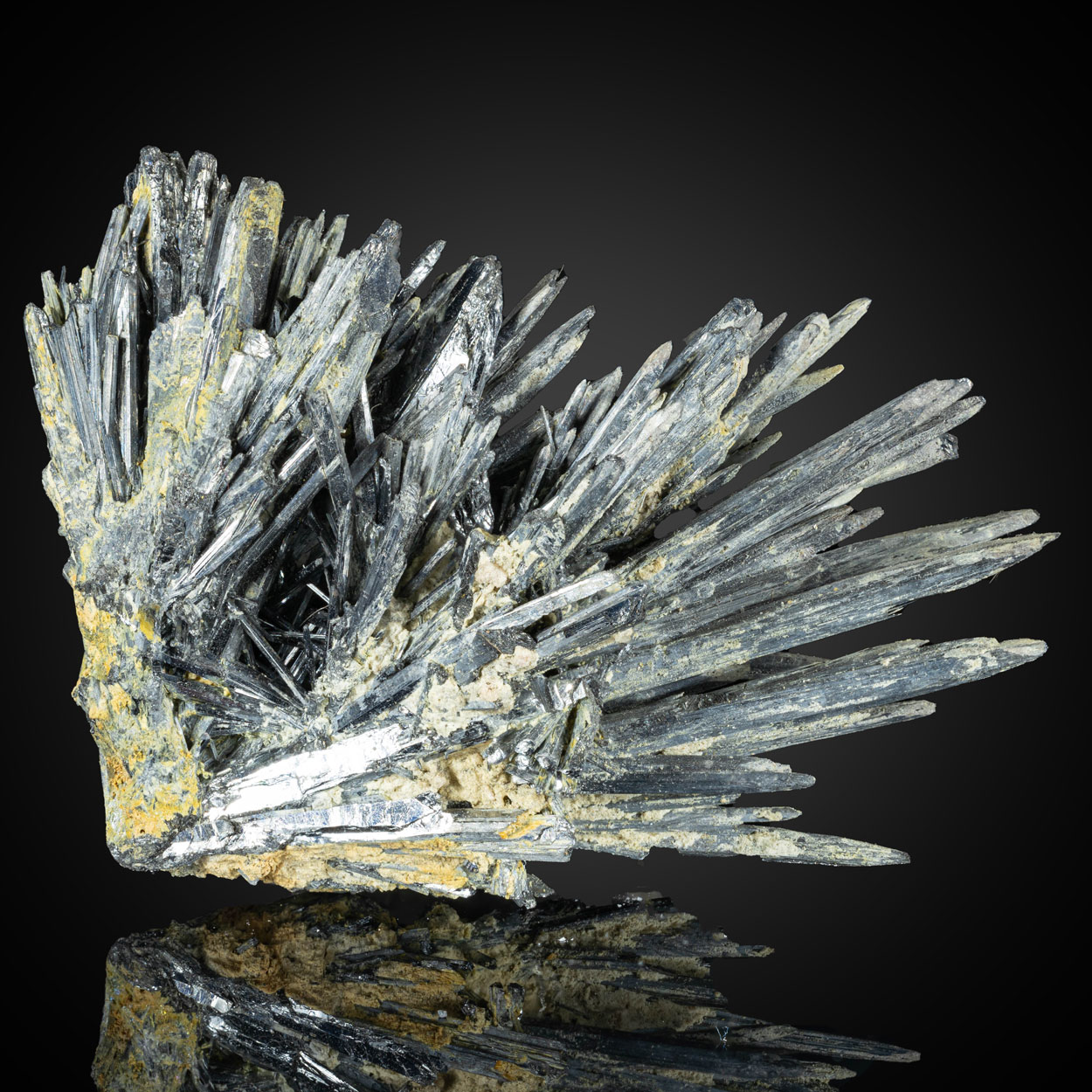 Klebelsbergite & Stibnite