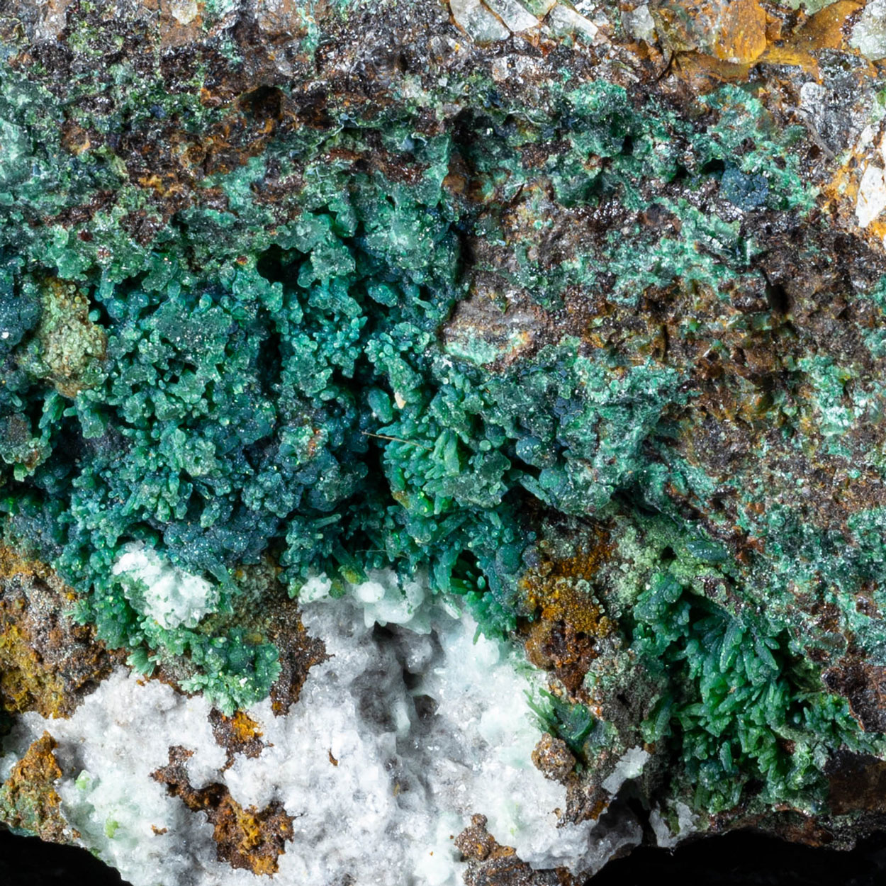 Chrysocolla & Smithsonite