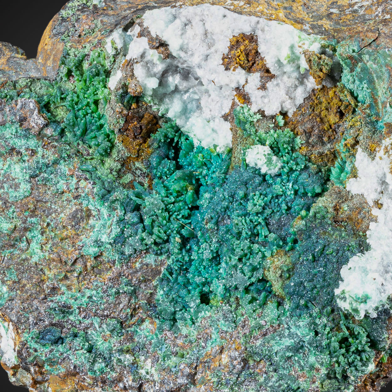 Chrysocolla & Smithsonite