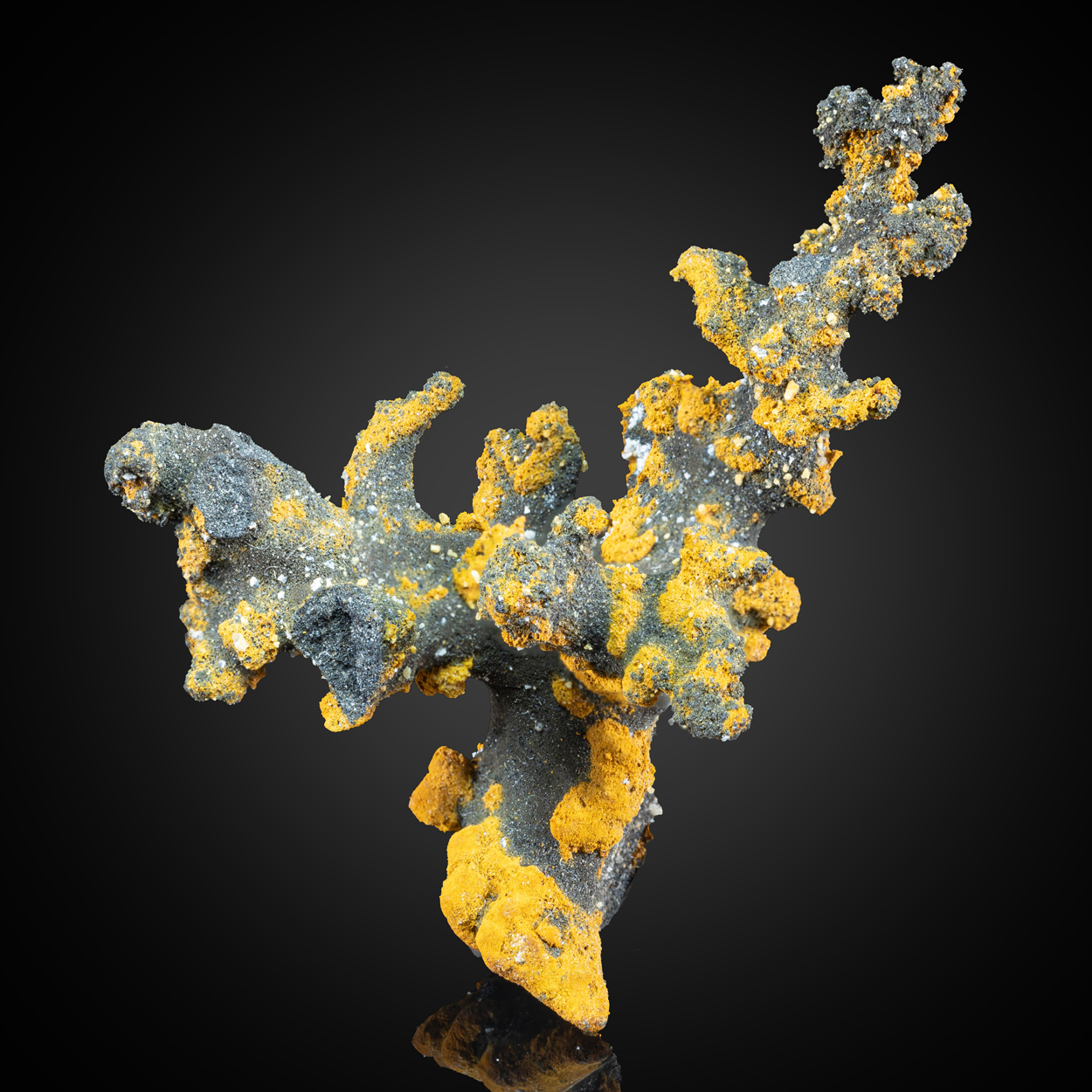 Romanèchite & Goethite