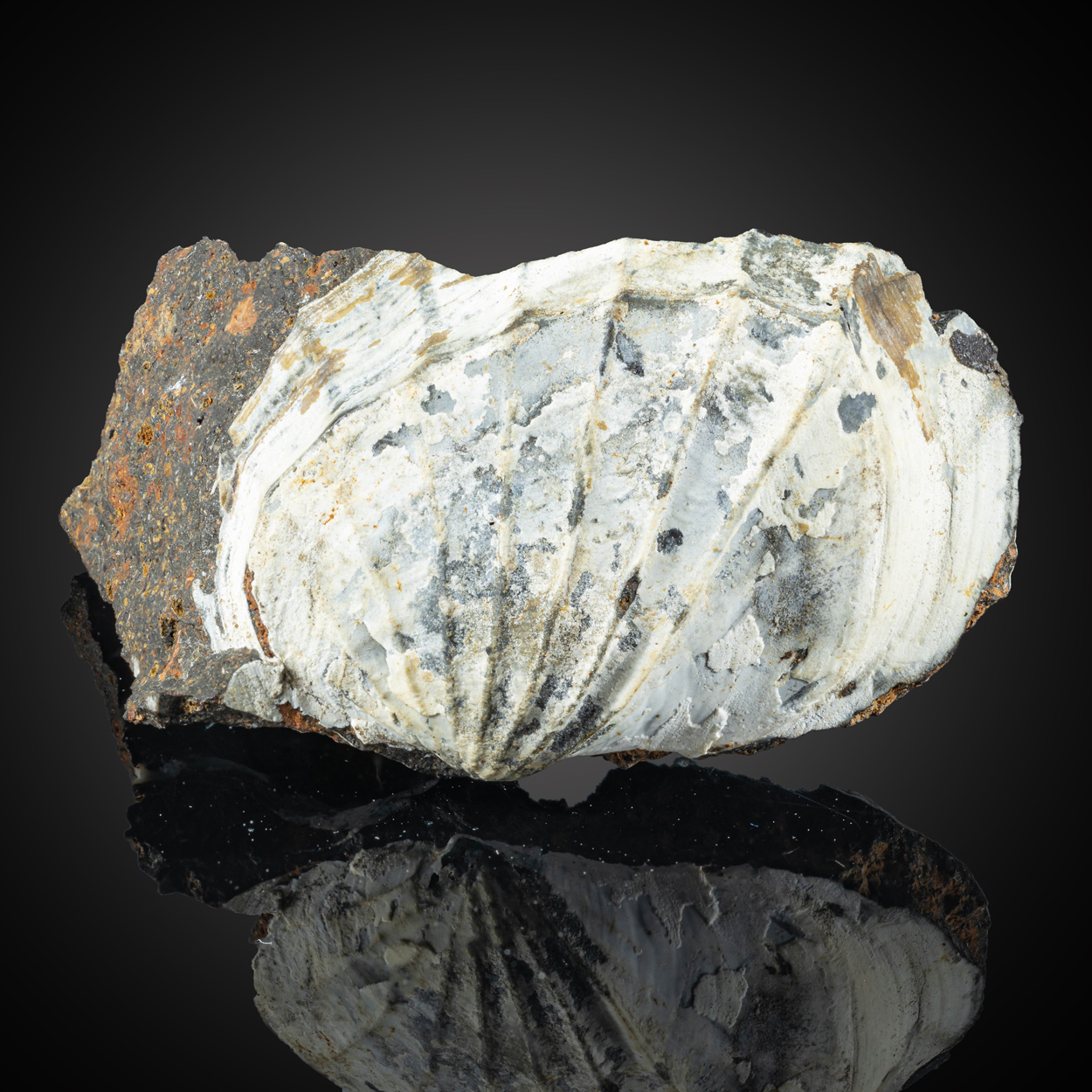Anapaite