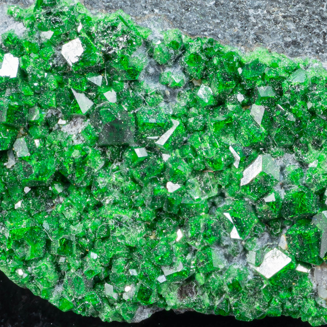 Uvarovite