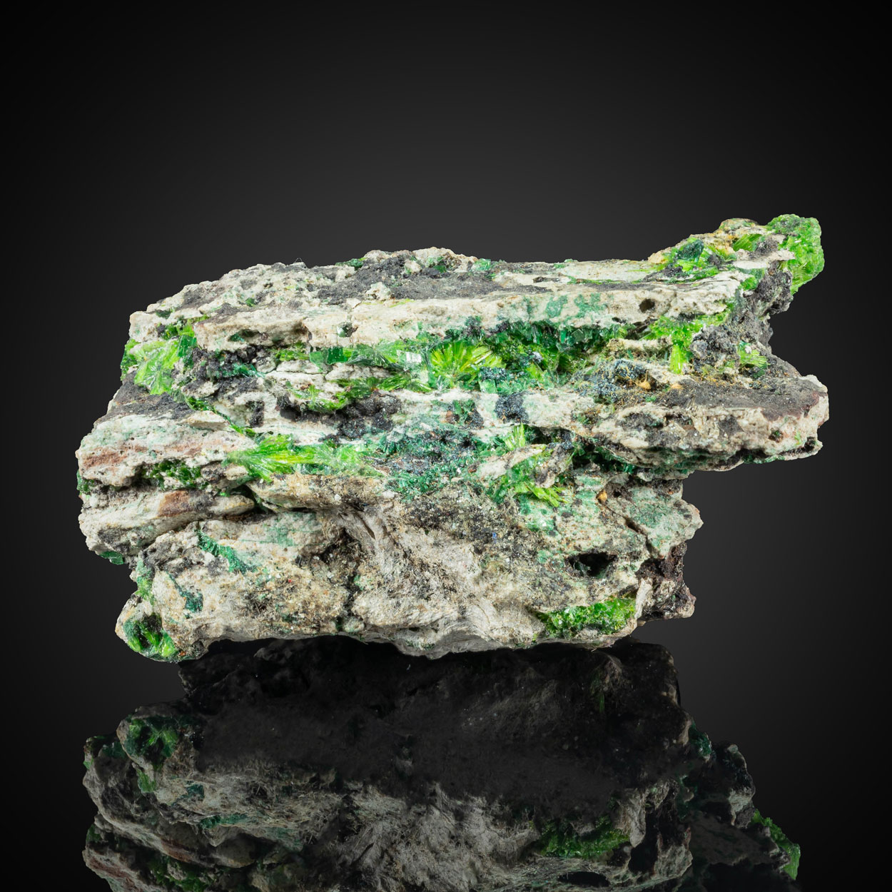 Cuprosklodowskite Torbernite & Kasolite