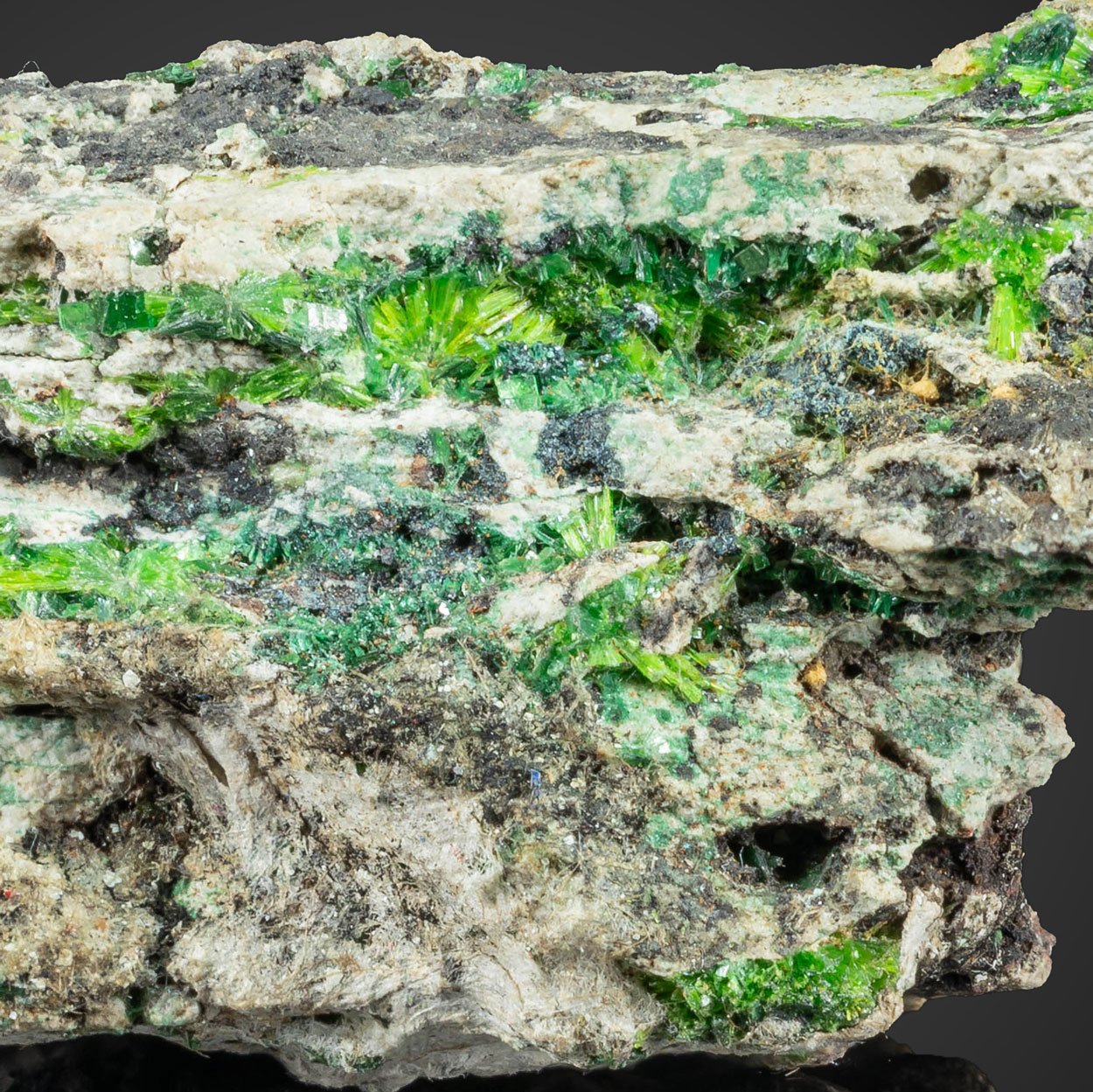 Cuprosklodowskite Torbernite & Kasolite