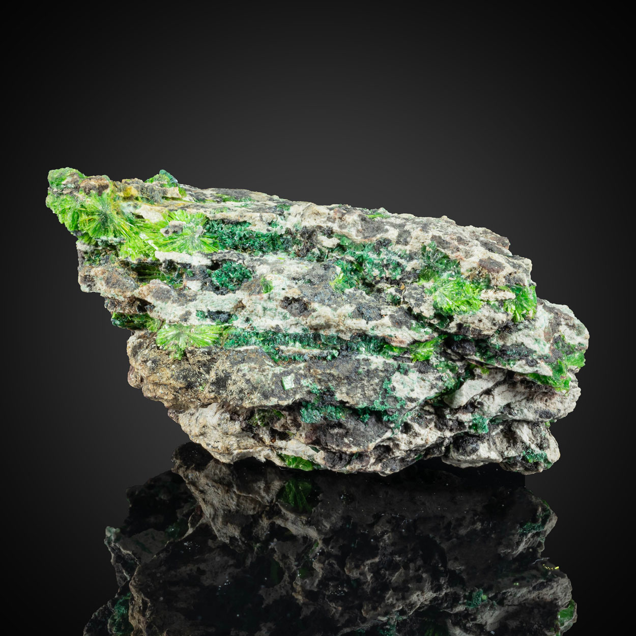Cuprosklodowskite Torbernite & Kasolite