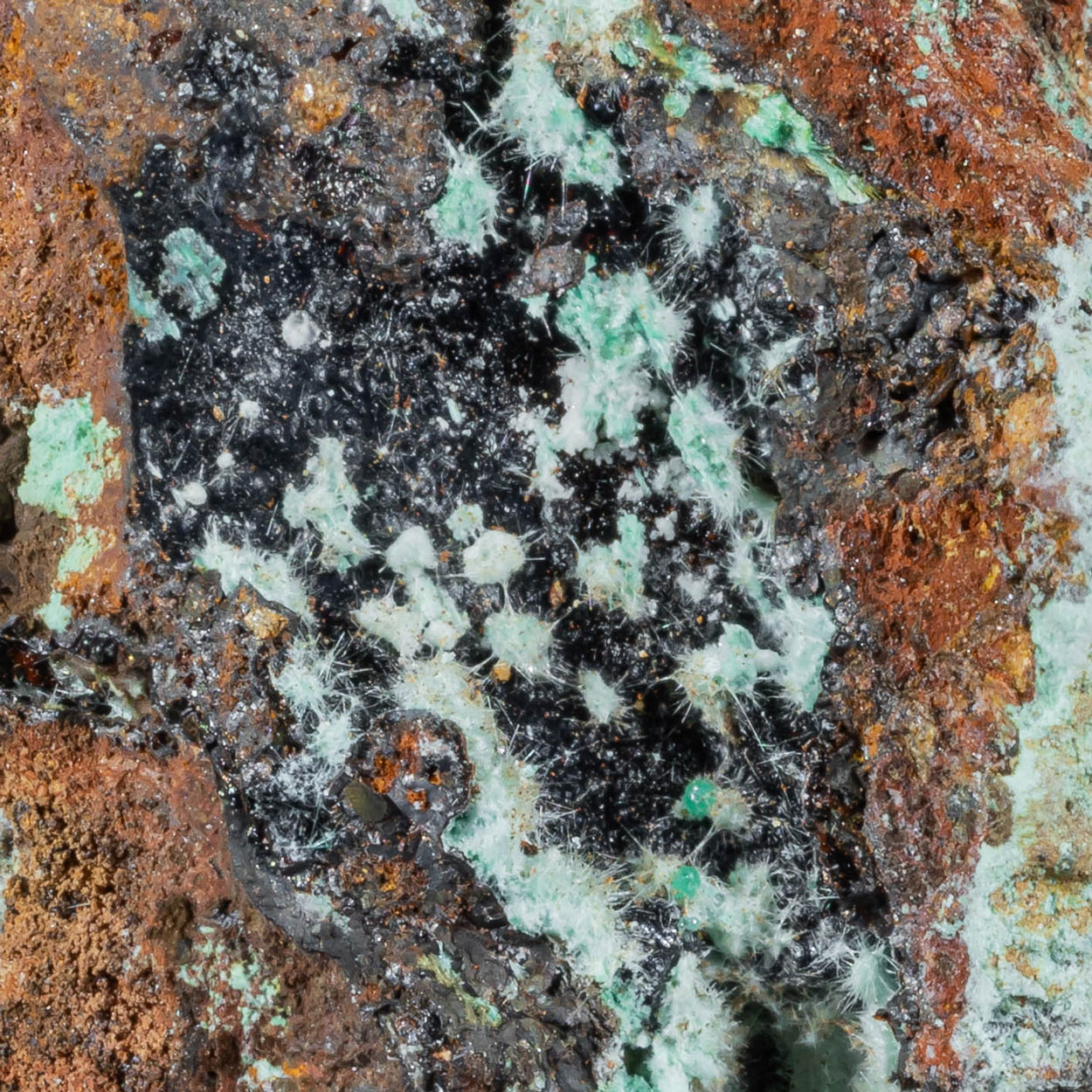 Agardite