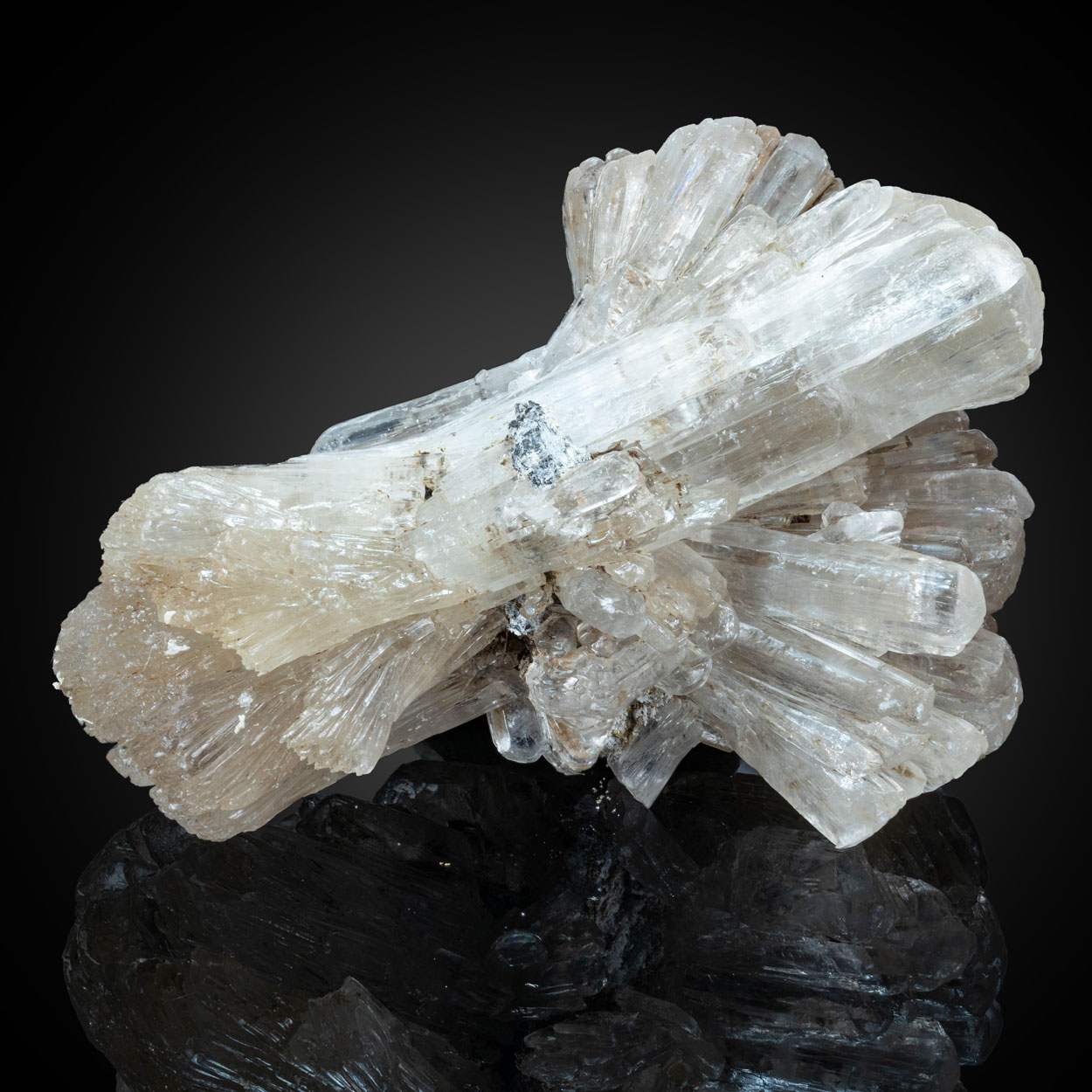 Gypsum