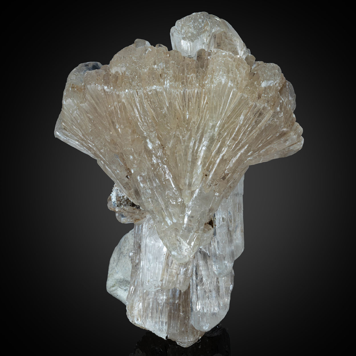 Gypsum