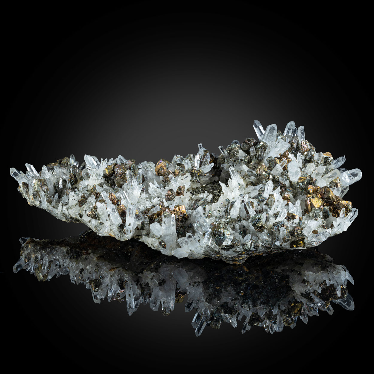 Chalcopyrite & Quartz