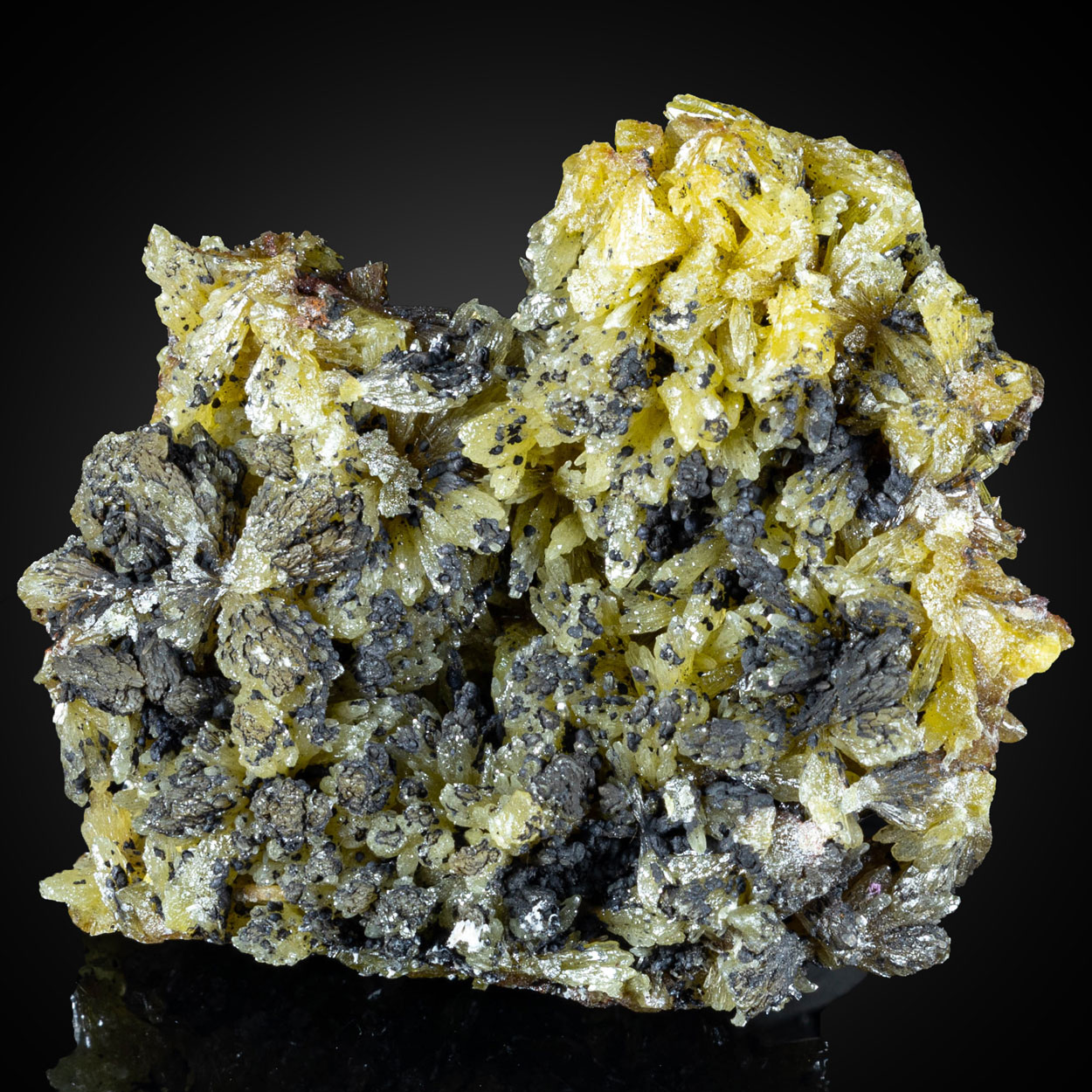 Psilomelane & Pyromorphite