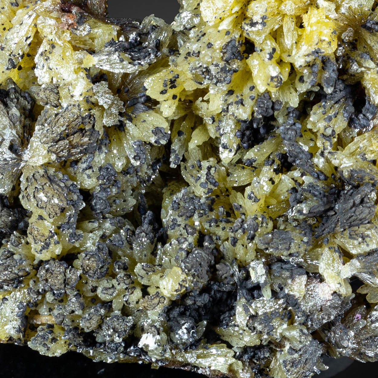 Psilomelane & Pyromorphite