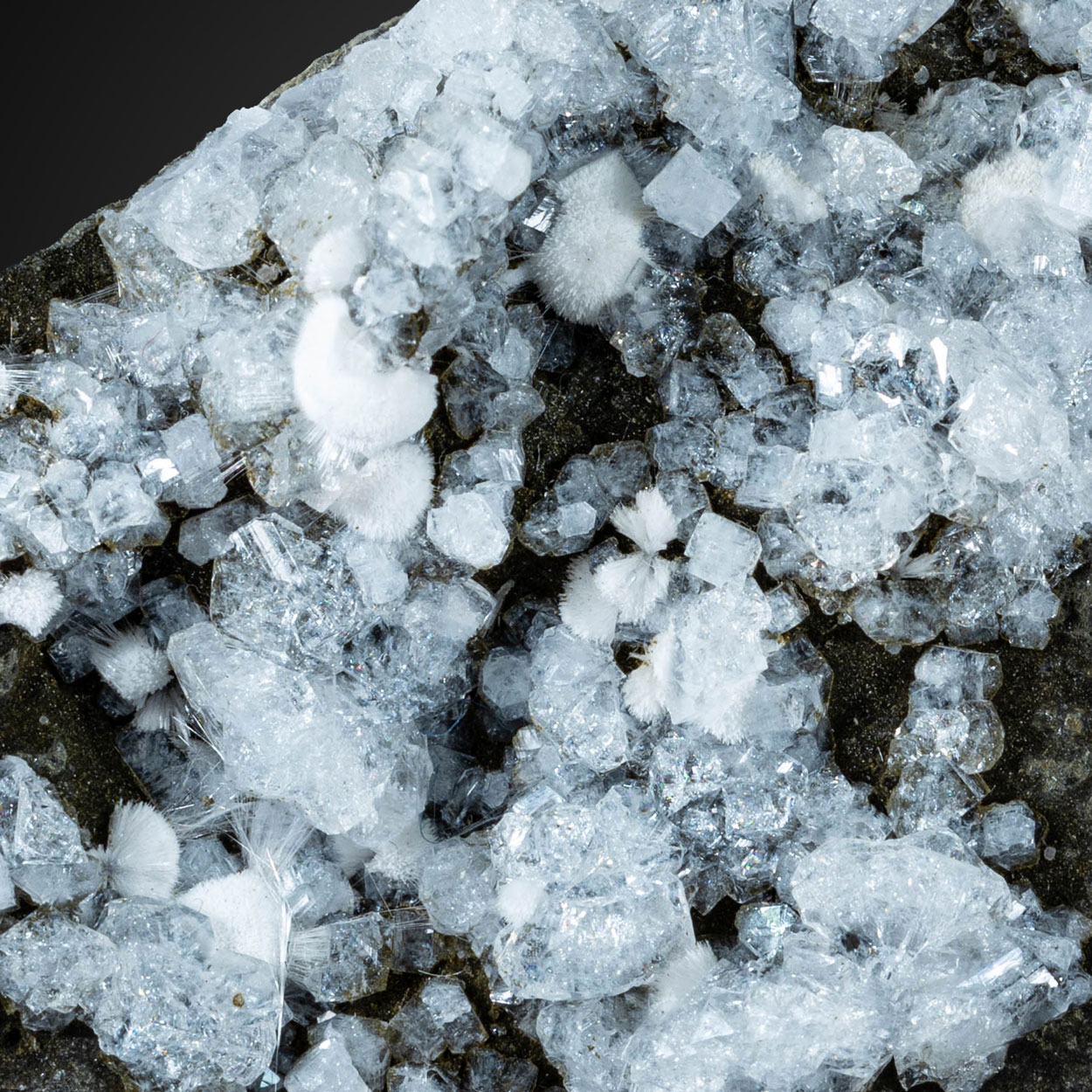 Chabazite Var Phacolite & Mesolite