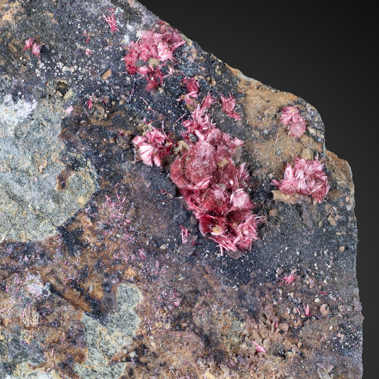 Erythrite