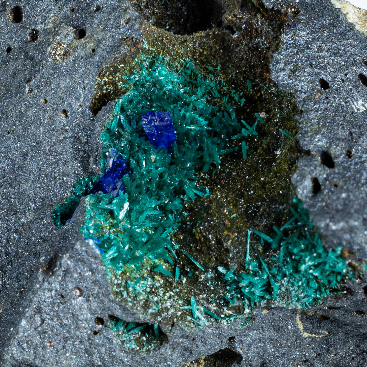 Linarite & Brochantite