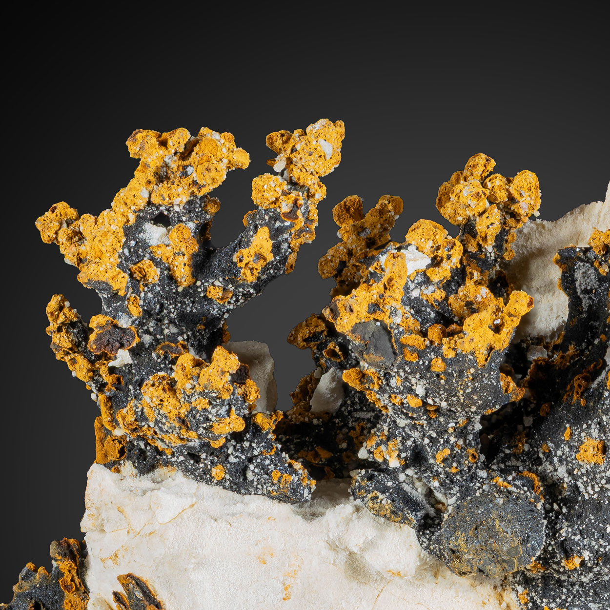 Romanèchite & Goethite