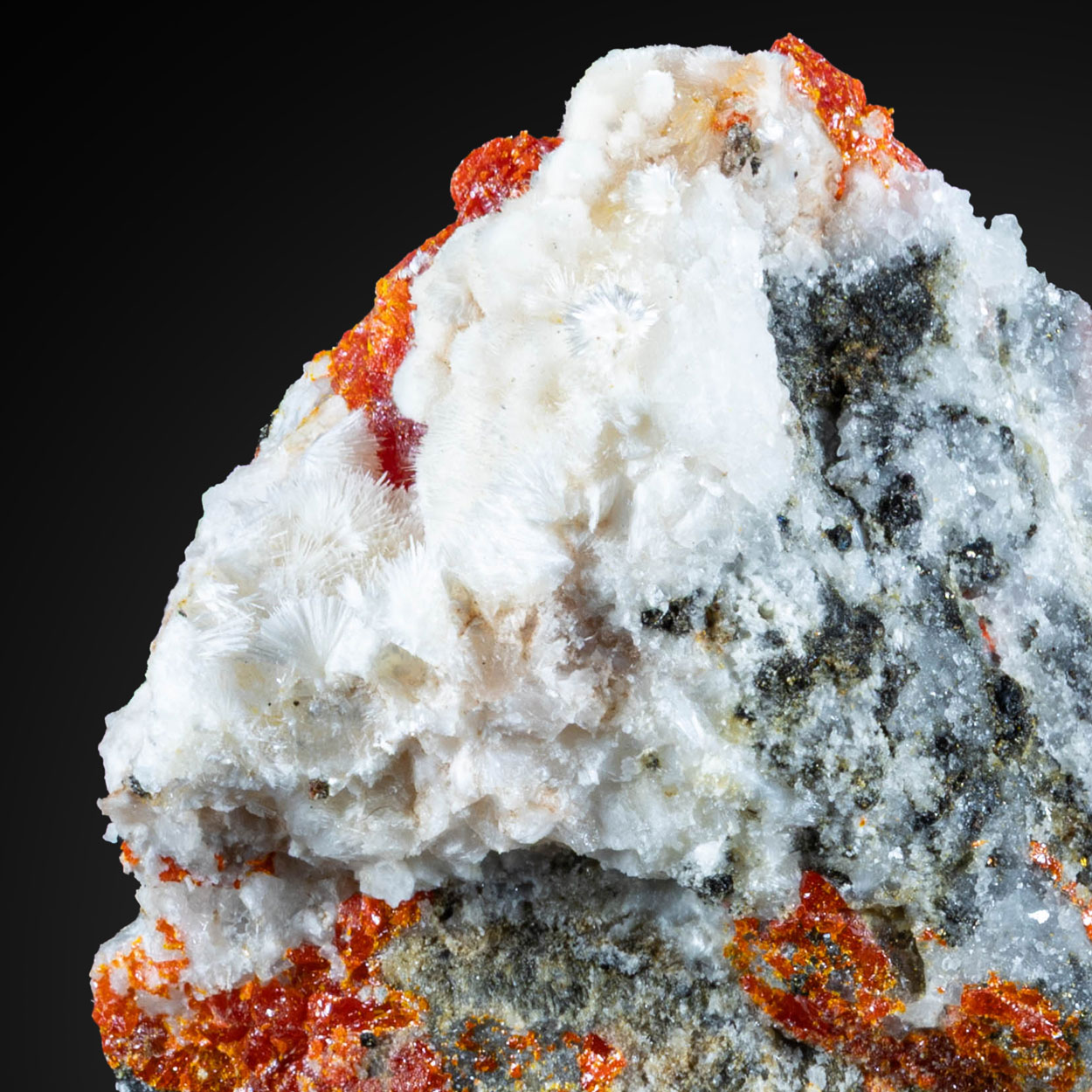 Realgar & Pharmacolite