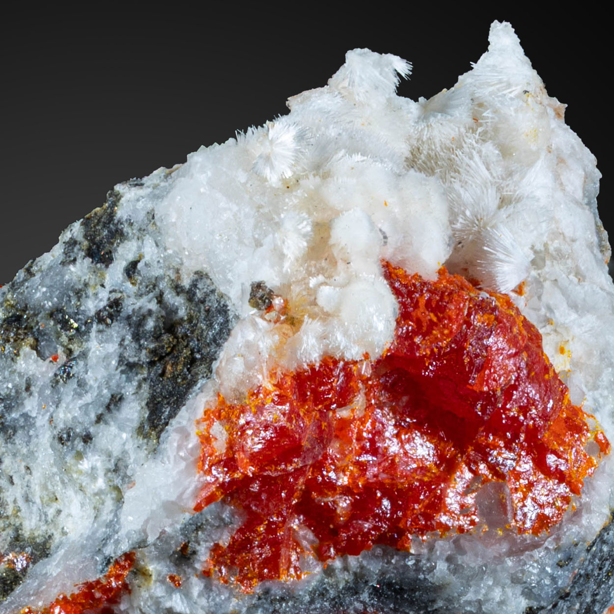 Realgar & Pharmacolite