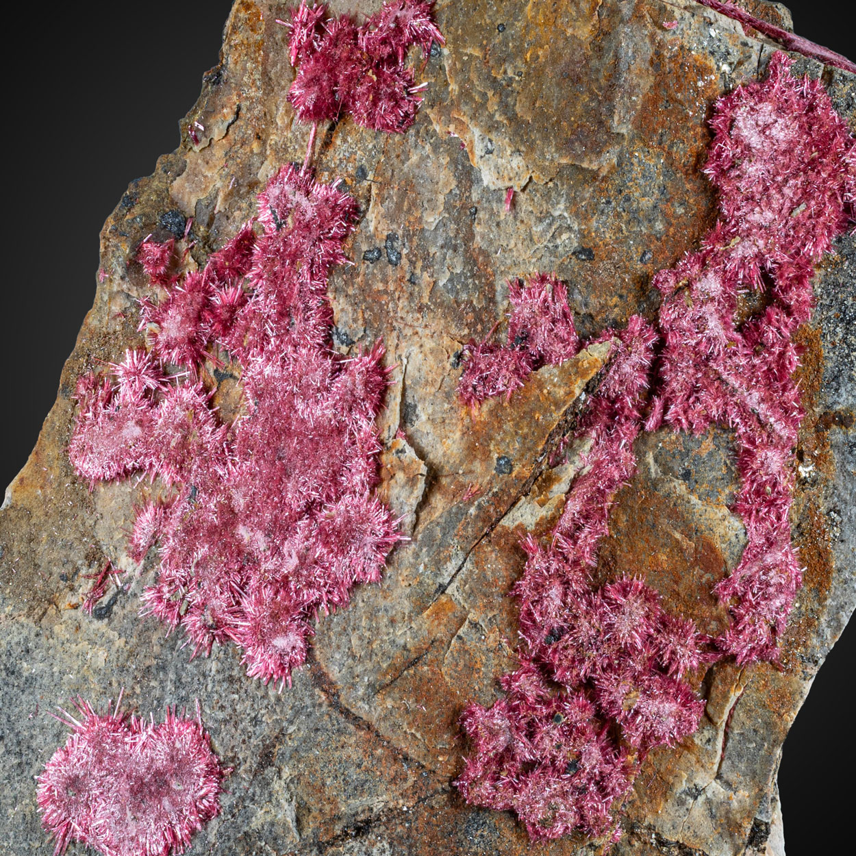 Erythrite
