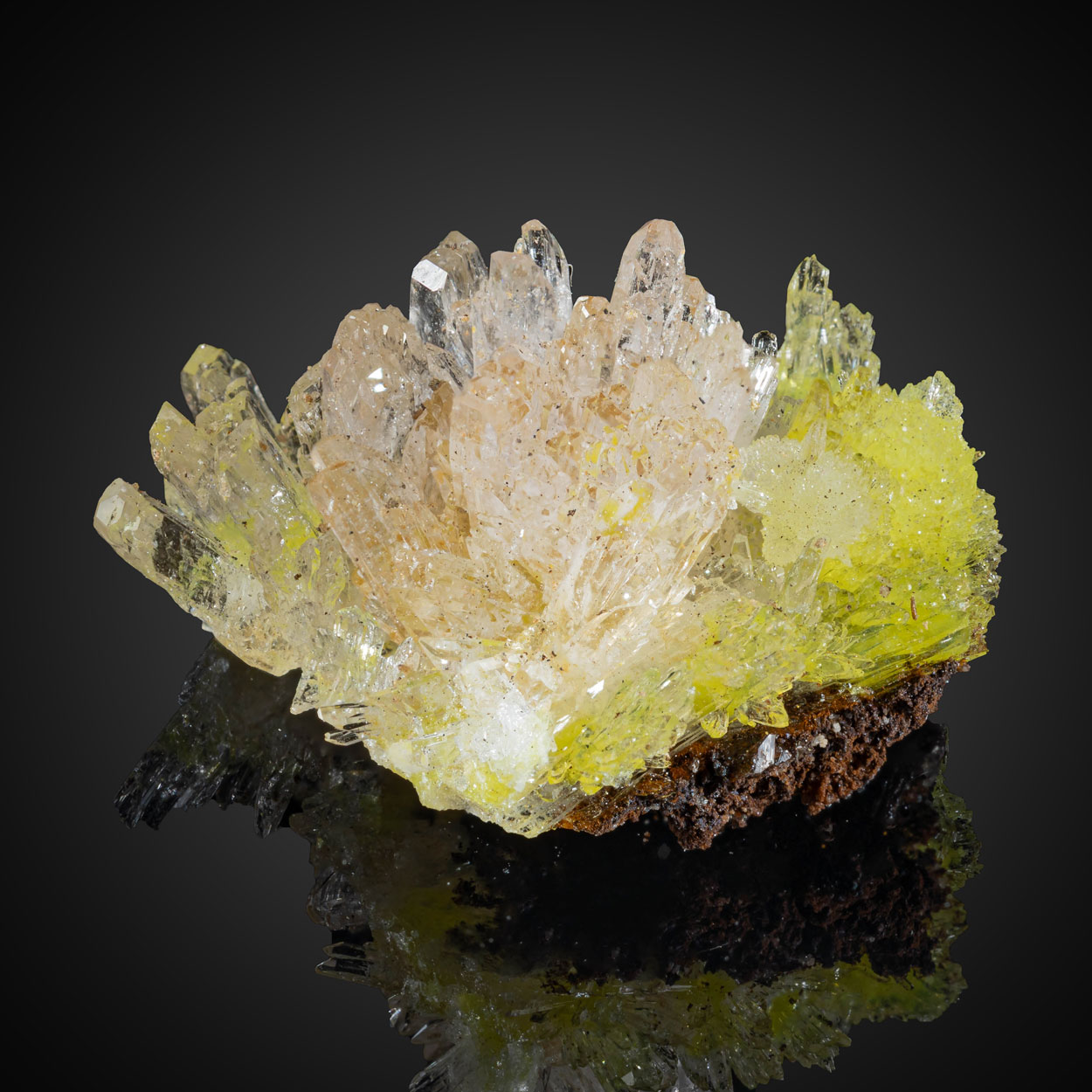 Carlhintzeite & Creedite