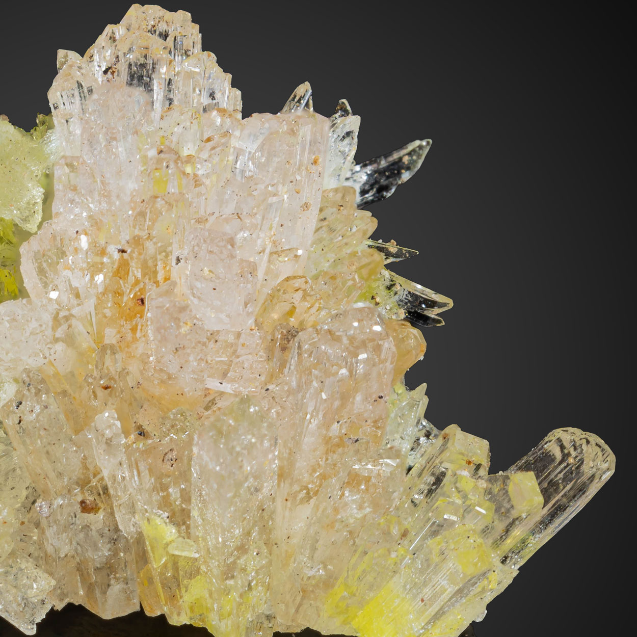 Carlhintzeite & Creedite