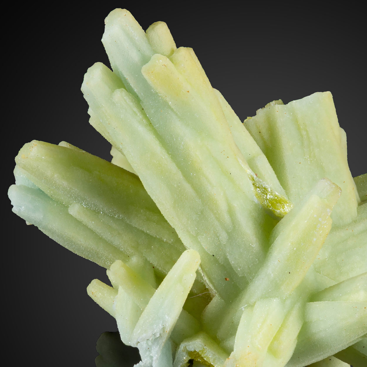Plumbogummite Psm Pyromorphite