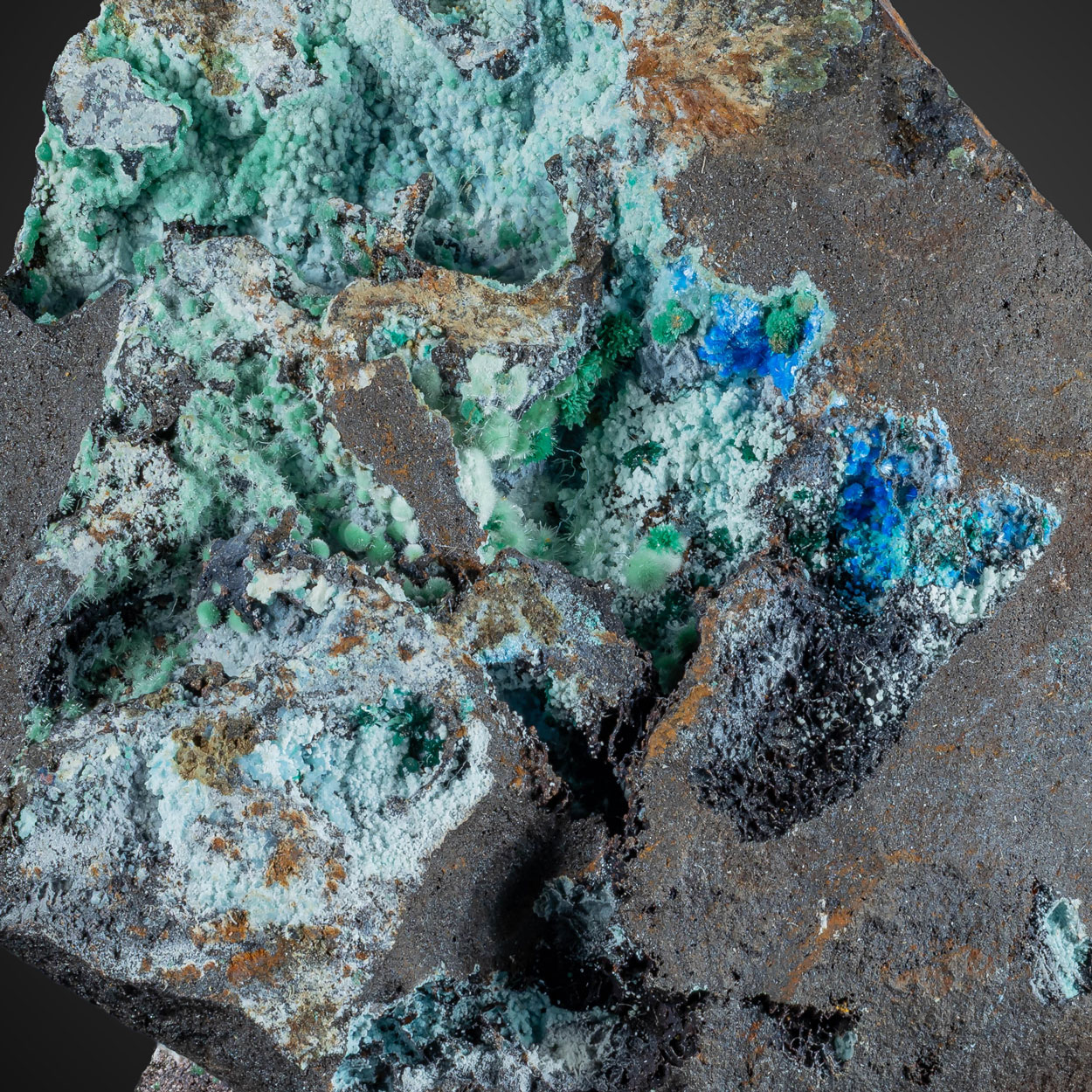 Olivenite & Cyanotrichite