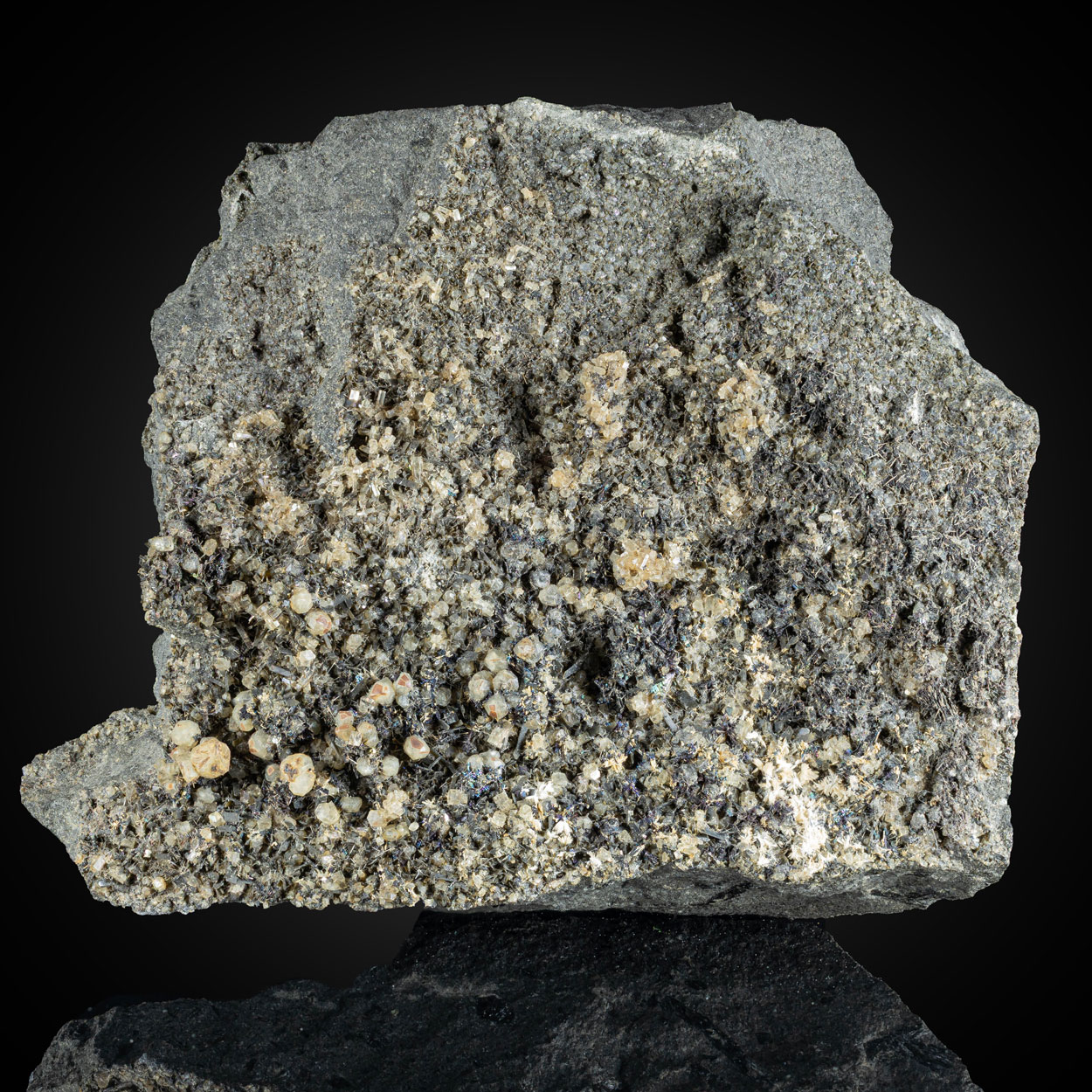 Perovskite Magnetite Apatite & Nepheline