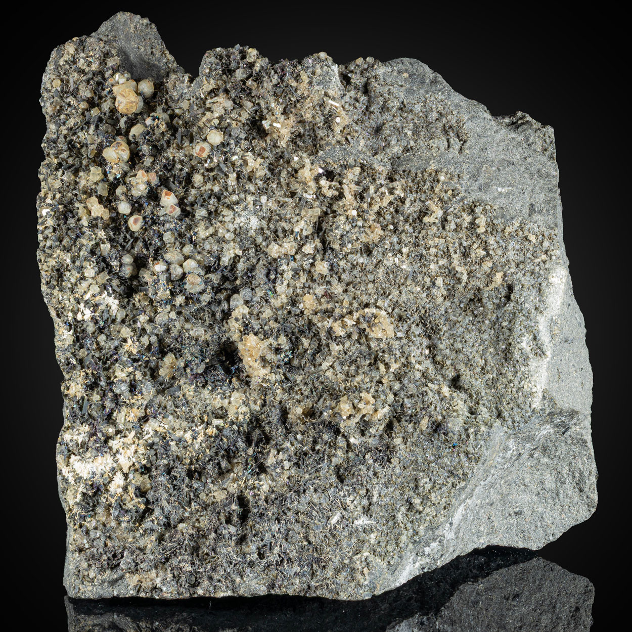 Perovskite Magnetite Apatite & Nepheline